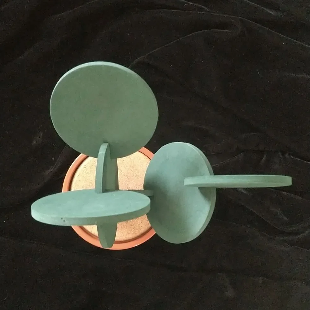 Cactus 🌵 Coaster Set